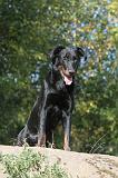 BEAUCERON 175